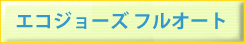エコジョーズ フルオート